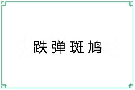 跌弹斑鸠