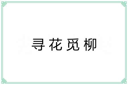 寻花觅柳 寻花觅柳