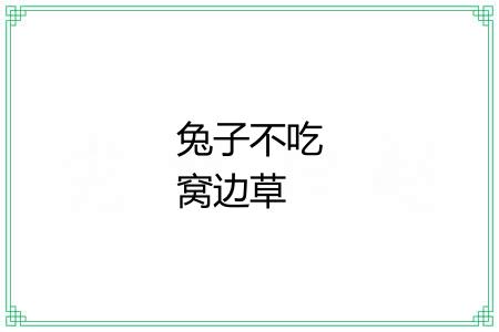 兔子不吃窝边草