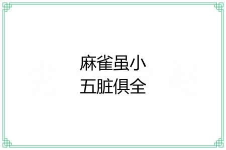 麻雀虽小五脏俱全